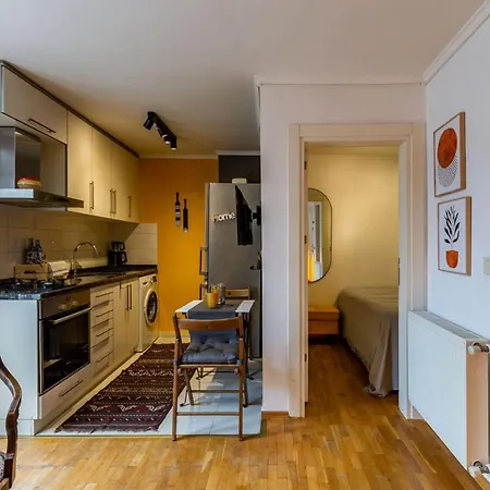 Superb Flat With View And Terrace In Beyoglu Apartment Istanbul